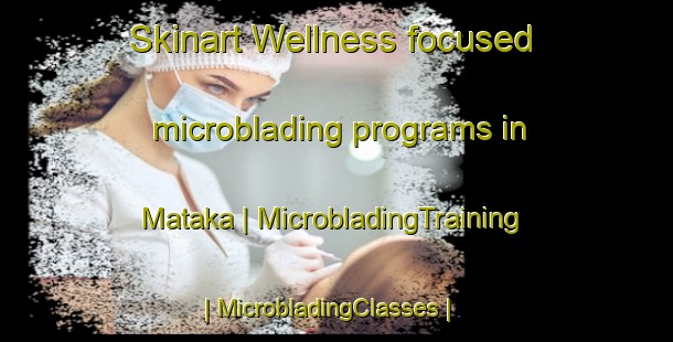 Skinart Wellness-focused microblading programs in Mataka | MicrobladingTraining | MicrobladingClasses | SkinartTraining-the Democratic Republic of the Congo
